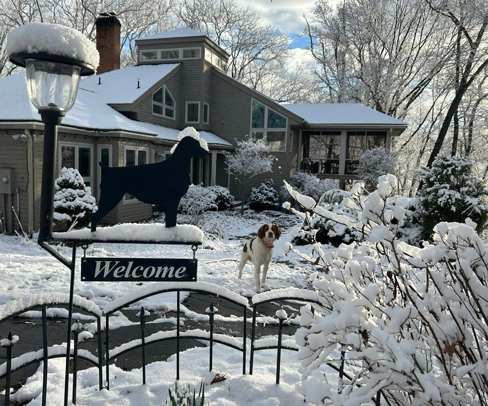 Snow-covered home with welcome sign and dog in the yard.