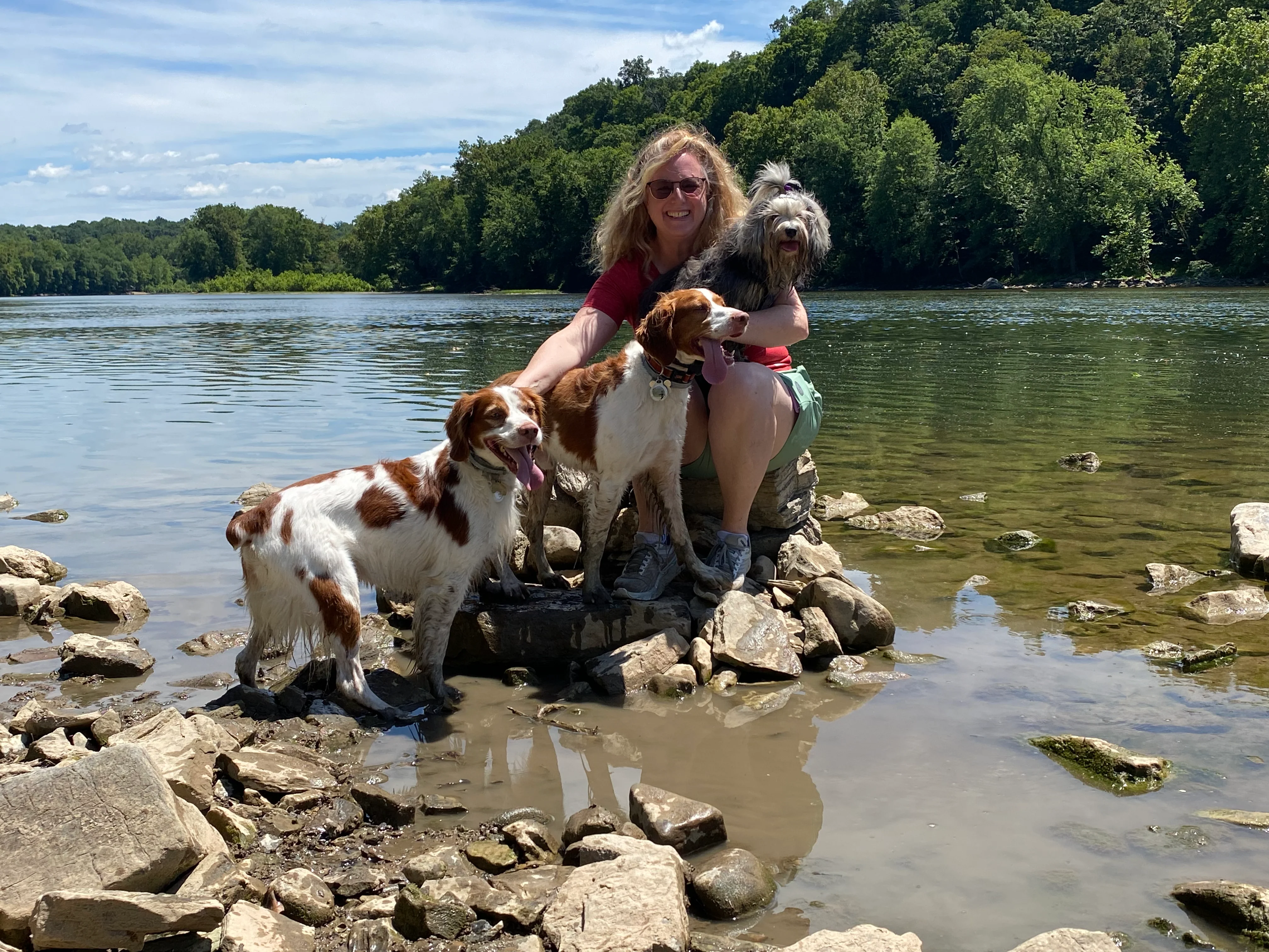 Family dogs enjoying the Potomac River.